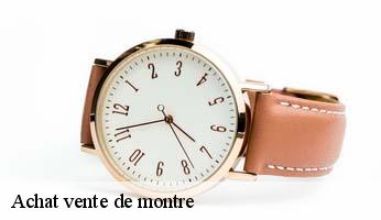 Achat vente de montre  la-batie-vieille-05000 Artisan Horloger Destrich