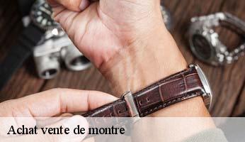 Achat vente de montre  la-batie-vieille-05000 Artisan Horloger Destrich