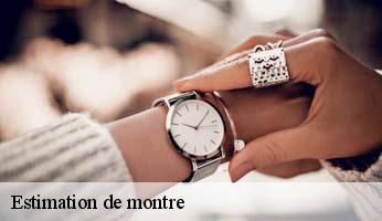 Estimation de montre  nossage-et-benevent-05700 Artisan Horloger Destrich