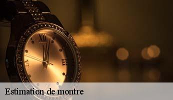 Estimation de montre  nossage-et-benevent-05700 Artisan Horloger Destrich