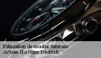 Estimation de montre  salerans-05300 Artisan Horloger Destrich