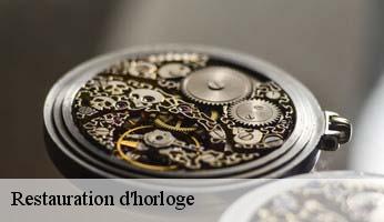 Restauration d'horloge  vitrolles-05110 Artisan Horloger Destrich